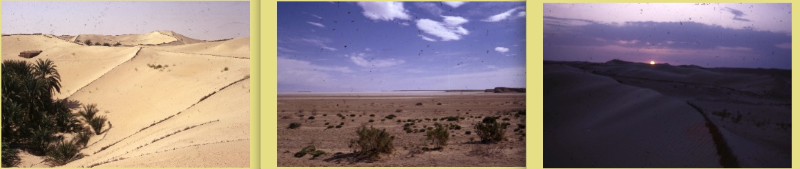 Index_fichiers/deserts3.jpg